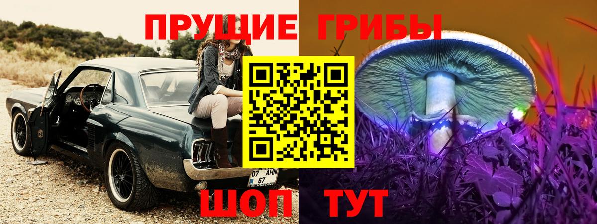 купить  сайты  Псилоцибиновые грибы ЛСД  Вход с VPN  Биробиджан 
