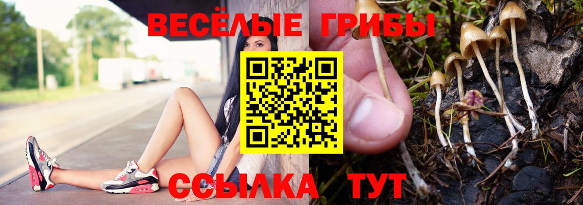 Псилоцибиновые грибы мухоморы Биробиджан